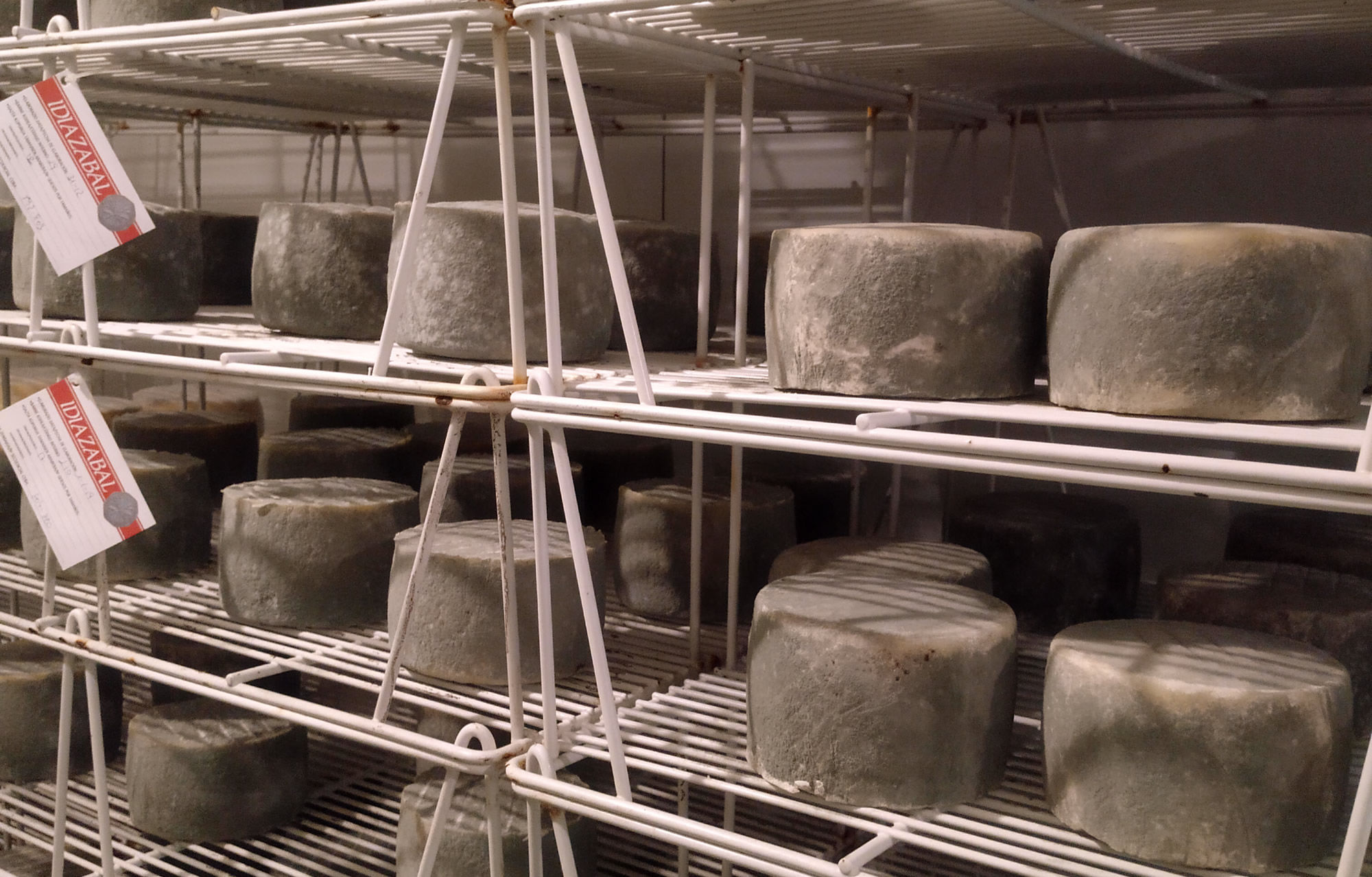 Learn how cheese is traditionally made; at our dairy we will teach you how we make different varieties of cheese