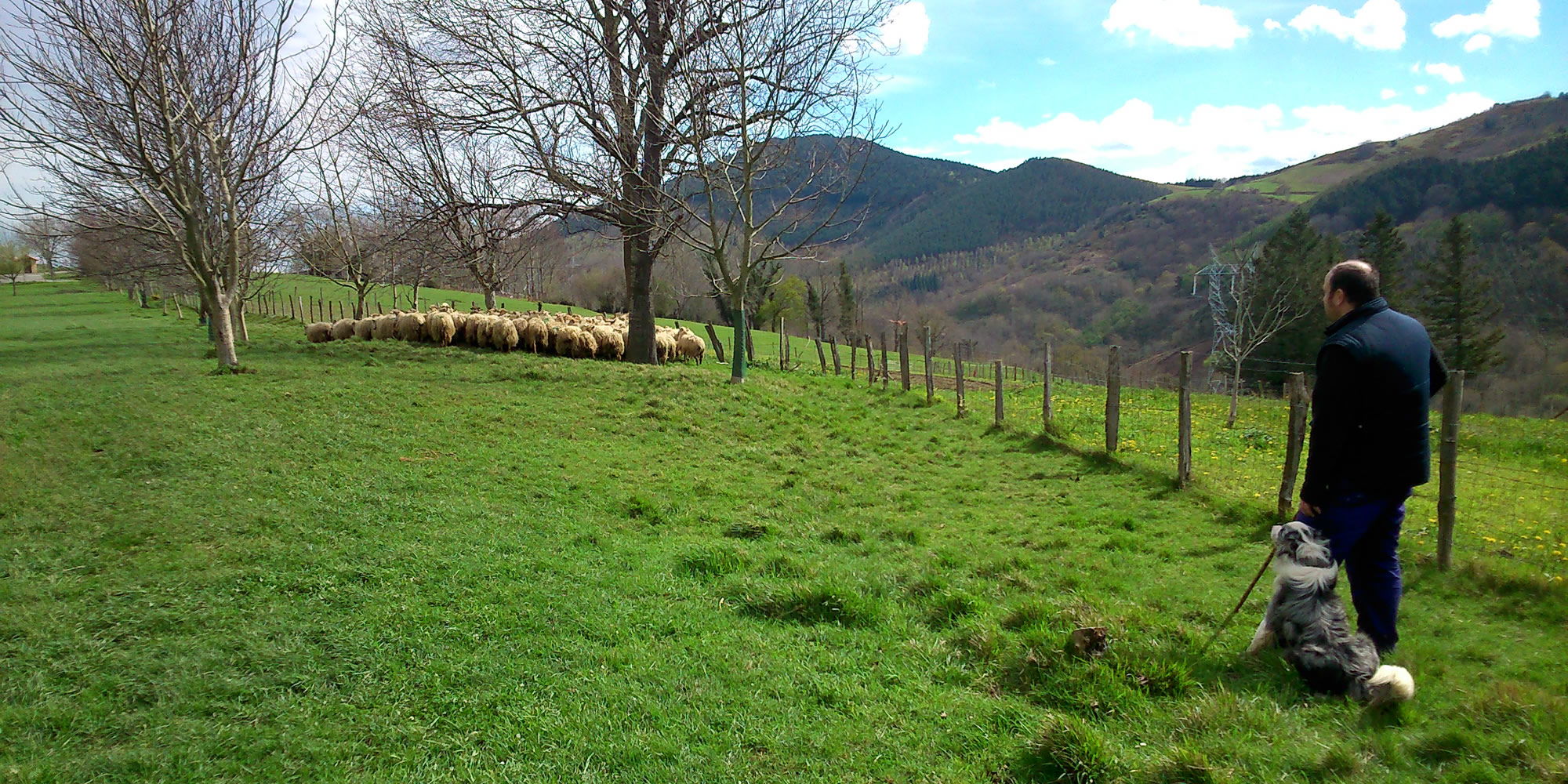 Quesería tradcicional en Urnieta, ven a visitarla con Basque Cool Tour