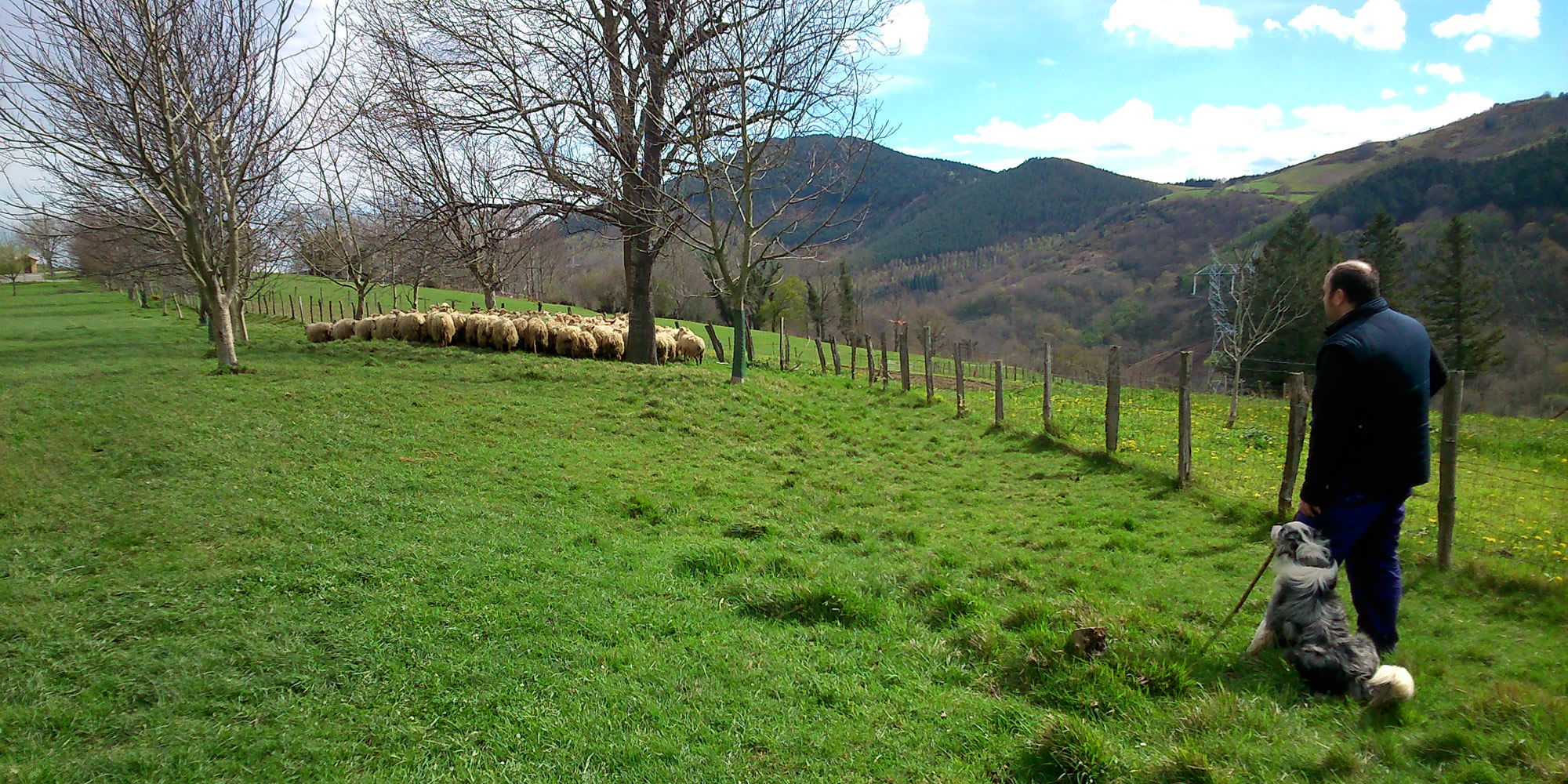 Traditional cheesemaking dairy in Urnieta; come and visit with Basque Cool Tour