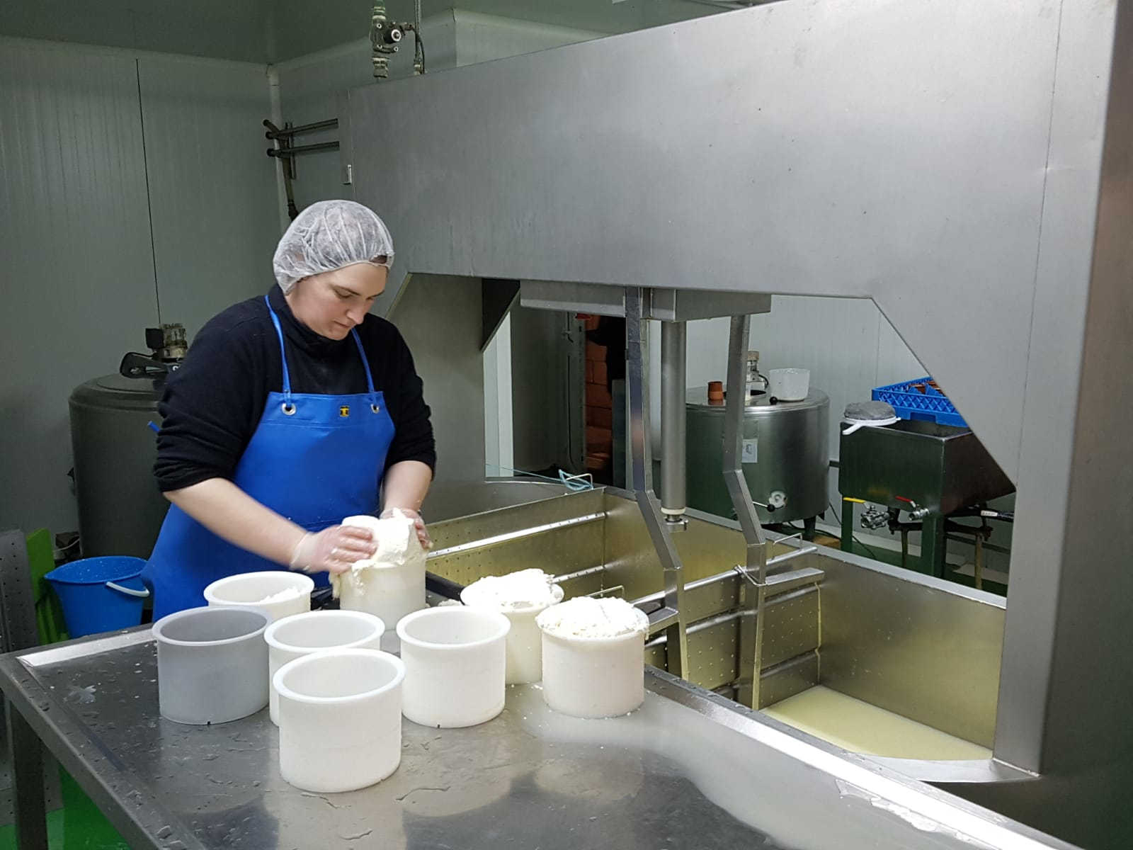 Artisanal cheeses made at the Adarrazpi dairy